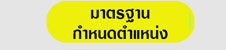 มาตรฐานกำหนดตำแหน่ง