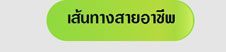 เส้นทางสายอาชีพ